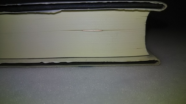 BOOK DARTS：本に挟んだ時